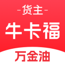 五次亚军赫尔冲击大满贯首冠